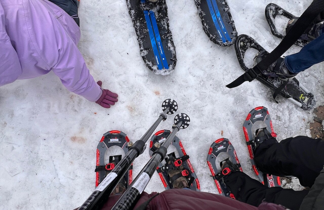 Snowshoes together